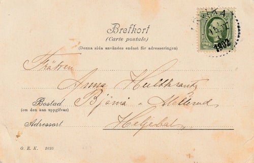 Arvika. Syckåsen vintertid 1902