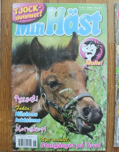 MIN HÄST 2006 NR 18