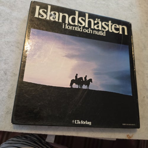 Islandshästen Gudarnas Häst av Sigurdur A Magnússon, 1979