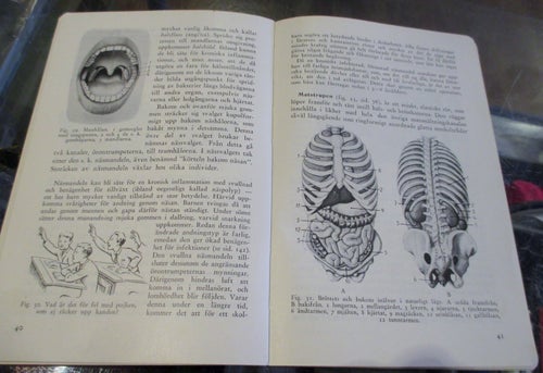 Gammal lärobok i Biologi, Människokroppen och dess vård, 1943