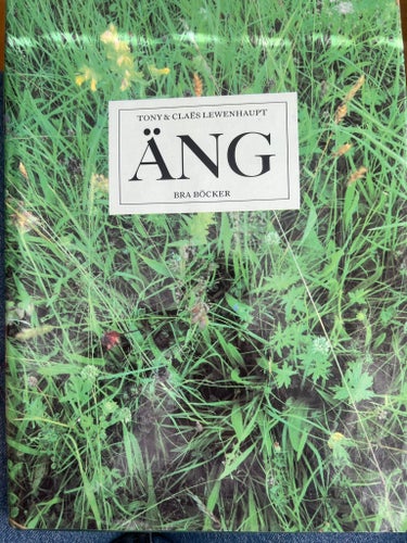 ÄNG av Tony & Claes Lewenhaupt, 1989