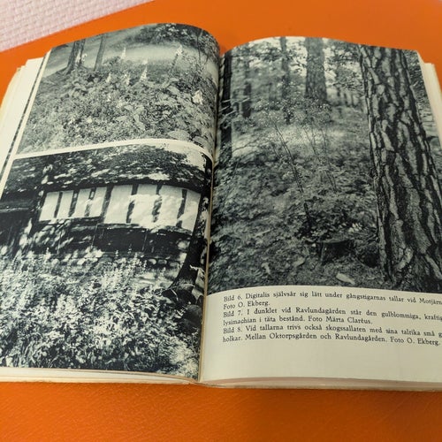Nordiska Museets och Skansens Årsbok 1946