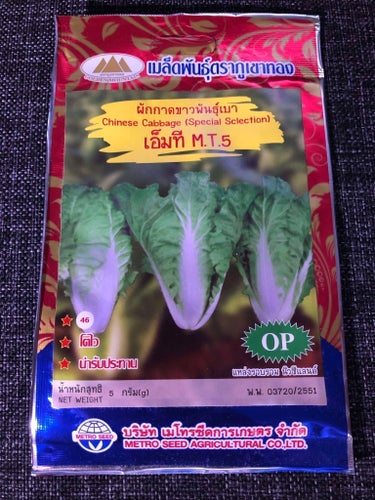 Kinesisk kålfrön / Kinakål (Chinese cabbage) (ca 30 frön)