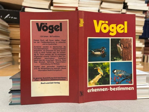 Vögel Erkennen bestimmen von Jürgen Lindenburger, bok, Very Fine plus