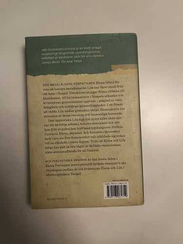 Min fantastiska väninna av Elena Ferrante