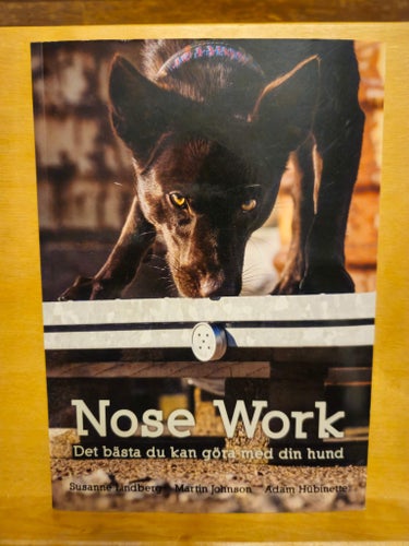 Nose Work - det bästa du kan göra med din hund