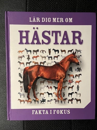 Fakta i fokus. Lär dig ner om hästar. / Fleur Star