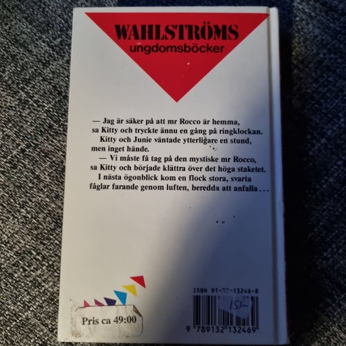 Kitty och skräckfåglarna av Carolyn Keene, 1991