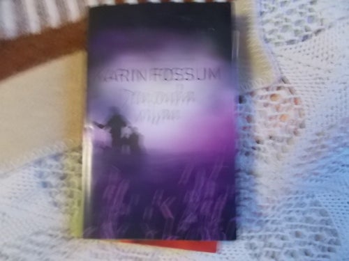 EN INBUNDEN BOK KARIN FOSSUN EN KONRAD SEJER DECKARE DEN ONDA VIJAN