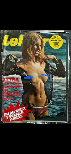 Lektyr. Nr 6. 1971