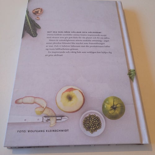 Recept som förändrar världen av Johan Rockström, 2019