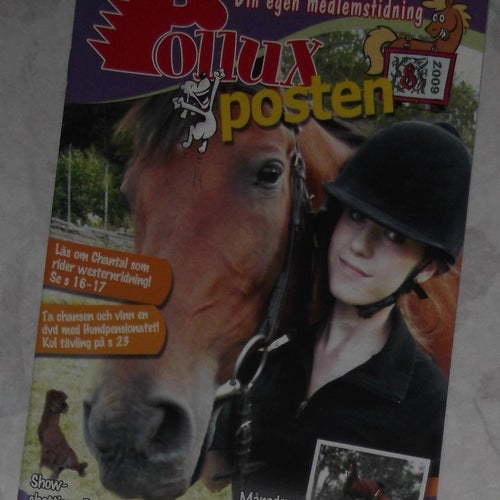 Polluxposten Klubbtidning nr 8 2009 Pollux Hästbokklubb Häfte Barn Häst tidning