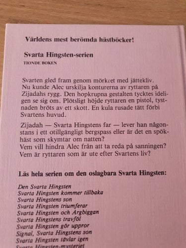 Svarta Hingsten Mysteriet - Walter Farley