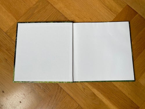 Piratsommar av Ardina Strüwer, 2000, Pollux, häst