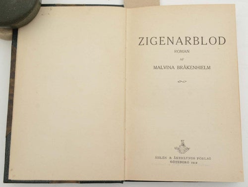 Zigenarblod : roman / af Malvina Bråkenhielm