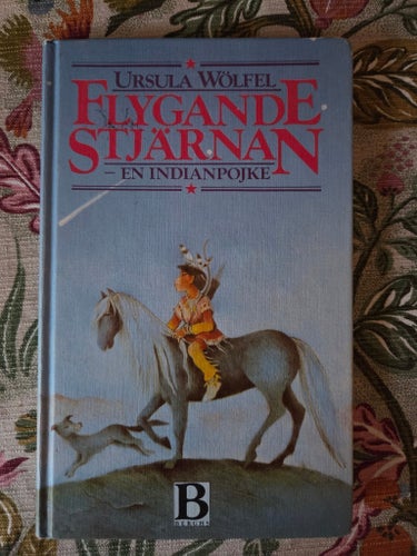 Retrobok: Flygande stjärnan - en indianpojke, Ursula Wölfel (1985)