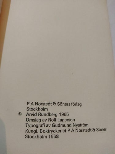 Mannen i mitten av Arvid Rundberg. Fine