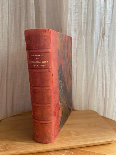 De Vita Damerna Av Worcester av Florence L. Barclay, 1919