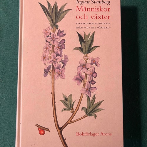Människor och växter av Ingvar Svanberg