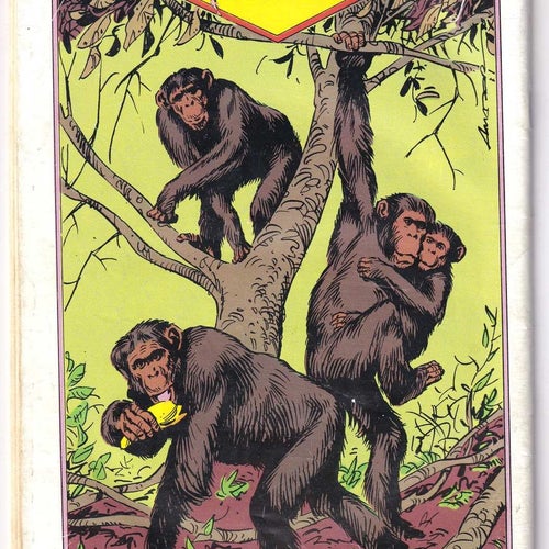 Tarzan 1984-7 Schimpans Bildreportage