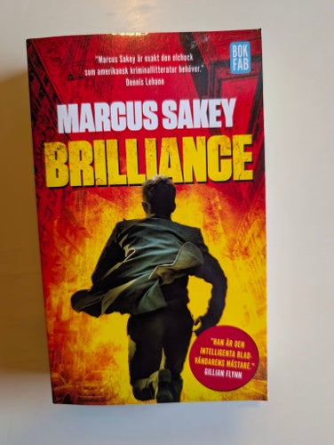 Brilliance - Marcus Sakey