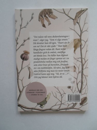 Elin Bengtsson En Vinterlek Novellix No 95 ISBN 9789175892009