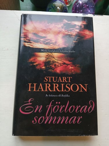 En förlorad sommar - Stuart Harrison