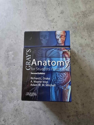 Gray's Anatomy for Students Flash Cards 2nd Ed – 350 kort, anatomi engelska