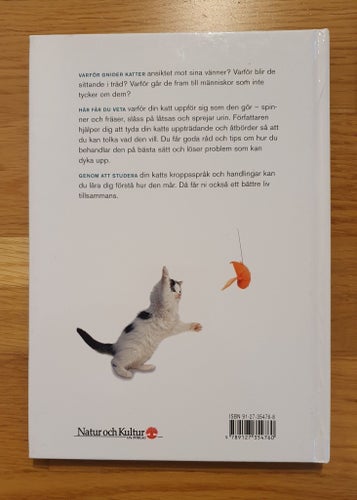 Vad säger katten - Guide till kattens beteende (Gwen Bailey)