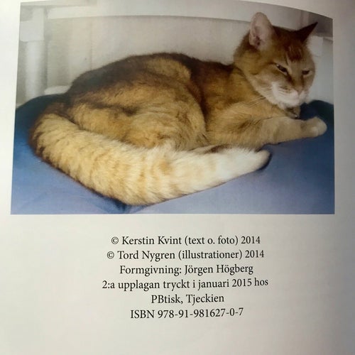 I HUVET PÅ EN GAMMAL KATT Kerstin Kvint & Tord Nygren 2015