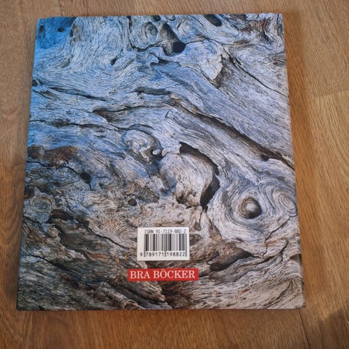 Asken Yggdrasil av Alf Henrikson, 1995