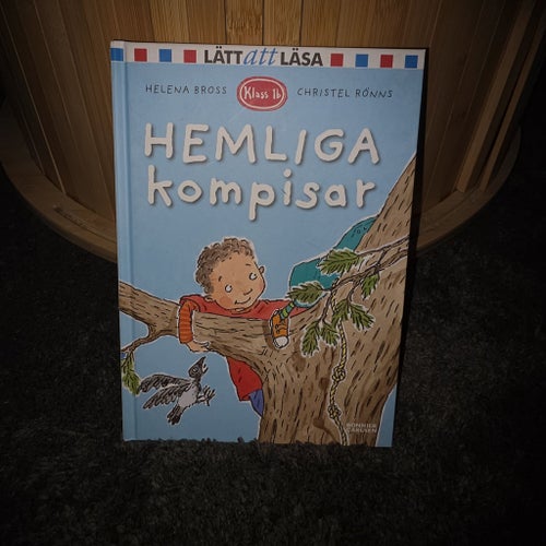 Hemliga kompisar av Helena Bross, Christel Rönns