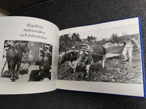 Bergmans bilder, Larssons söndags (inb) Borås Tidning