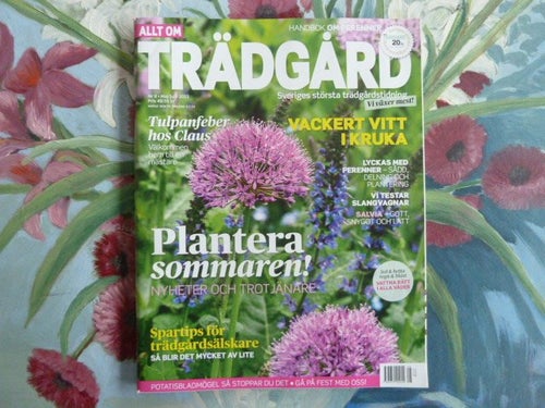 TRÄDGÅRD, NR 8, 2013,