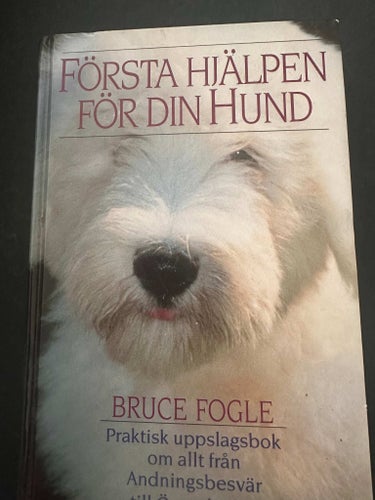 Första hjälpen för din hund