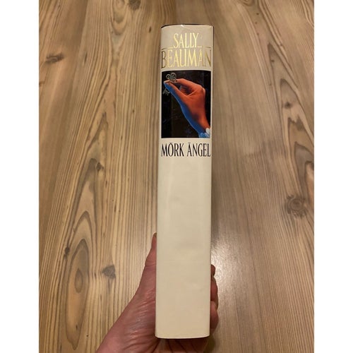 Mörk ängel av Sally Beauman