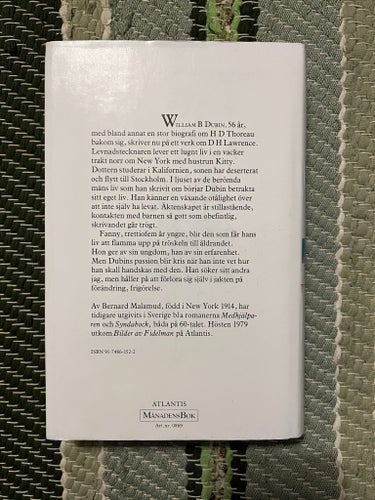 Dubins många liv av Bernard Malamud, 1979