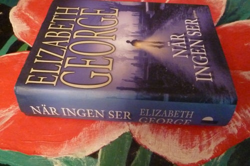 NÄR INGEN SER, ELIZABETH GEORGE, 2006, BOK