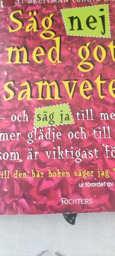 Säg nej med gott samvete av Jill Breitman och Connie Hatch, 2003