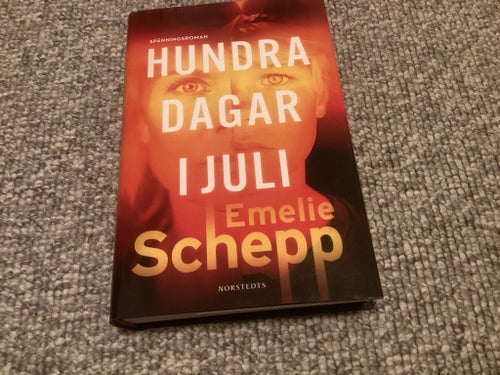 Hundra dagar i juli av Emelie Schepp
