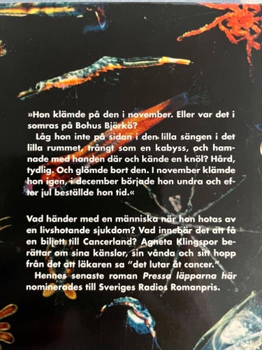 Stängt pga hälsosjäl - Agneta Klingspor