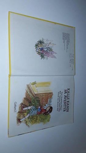 Kalle Kanin på äventyr - Rosemary Billam (1987)
