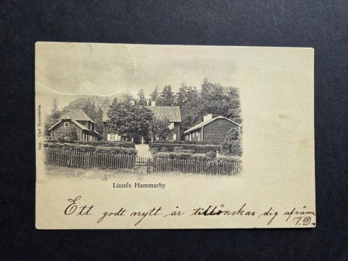 Linnés Hammarby stämplat