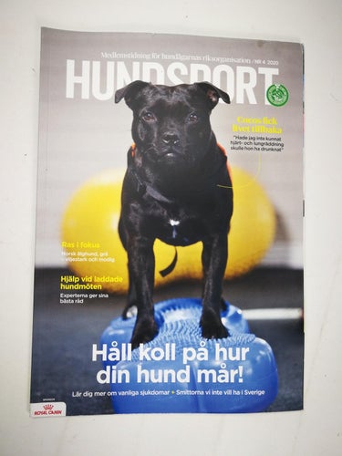 Hundsport 2020/4 (Norsk älghund Agility Asperger Autism HLR)