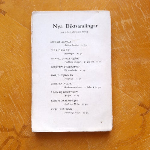 Ture Nerman I brynja och brånad 1913