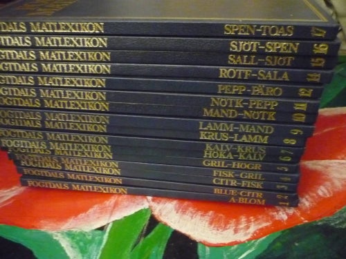 BOK, 16 BÖCKER, FOGTDALS MATLEXIKON: 1-12, 14-17
