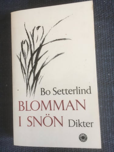 Blomman i snön dikter Bo Zetterlind