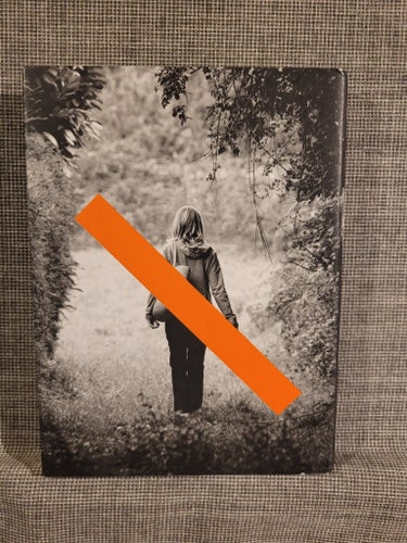 Sista boken från Finistère - Bodil Malmsten, 2009