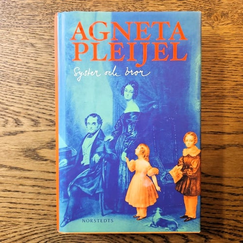 Syster och bror - Agneta Pleijel
