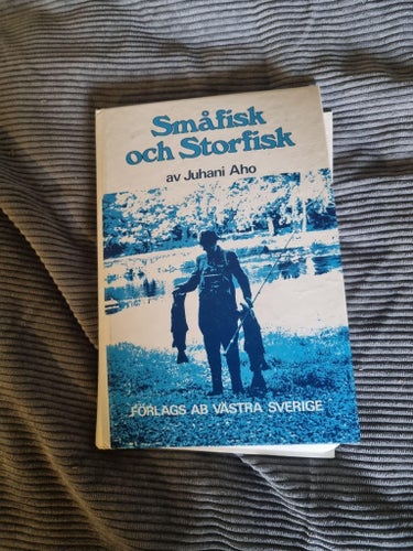 Småfisk och Storfisk
